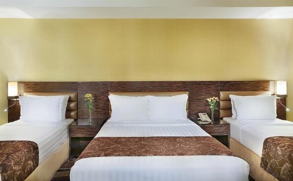 Gateway Hotel image 22